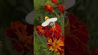 beautiful bee from children's plasticine sits on a flower.  Baby wasp #shortsyoutube #ladybee