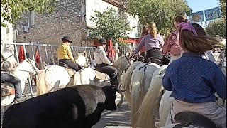 Abrivado des péquelets à Eygalières - 09/10/2021