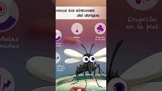 Te gustaría saber acerca de la enfermedad del dengue: si es así apoya al canal