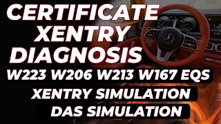 Подробная Информация! Xentry Diagnosis для W223, W206, W213, W167 Xentry Simulation / Das Simulation