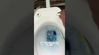 Replacing a toilet seat