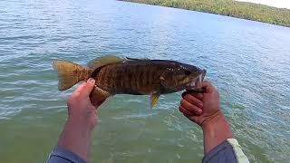 NYC Reservoir Spring Smallmouth (Non-Stop Action!)