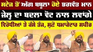 CM Bhagwant Mann Blasting Speech Today From Mohali | Bolly fry