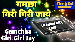 Gamcha Giri Giri Jaye | Tirath Raj Bandhav | CG Original Song | New Chhatisgarh Song | Octapad Cover