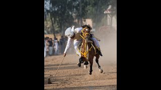 Day 4 Part 10 National championship of Neza Bazi 2018 Faisalabad Agriculture University Tent Pegging