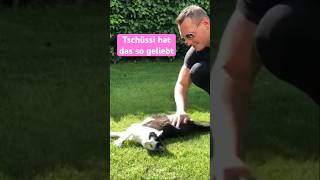 Spielen mit dem Katzenpapa 😺😹lustige Katzenvideos 😻 #shorts #cats