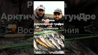 Трофеи Арктической тундры. Ловля Гольца. Ловля форели. Кольский #fishing #kolapeninsula #рыбалка