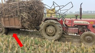 Mahindra 275 DI stuck in mud with Trolley | Tractor video |Tractor tochan || BR22 Kisan ||