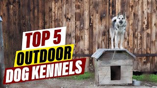 DIY Outdoor Dog Kennel: Build Your Best Friend's Paradise