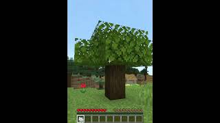 Tiny Dark Oak Trees! #minecraft