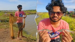 Cast Net Fishing At The Ponds, Berbice Guyana Part 3