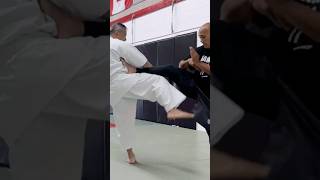 I Tried ASHIHARA Karate (it’s crazy) #shorts #karate