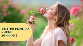 Why do flowers smell so good?  | #knowledge