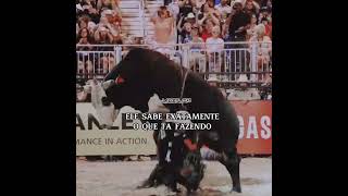 VIDEO EDIT *JB MAUNEY