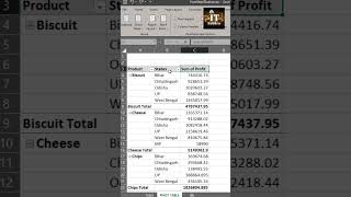 Advance Pivot Table tricks in MS Excel#shorts