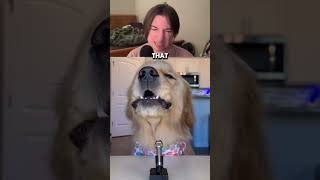 Dog ASMR - #satisfying #pets