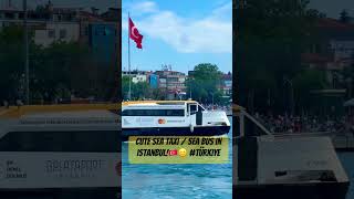 Cute Sea taxi / sea bus in istanbul!🇹🇷😃 #Türkiye #kadıköysahil #vapur #seataxi #তুরস্ক