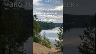 Эко парк ВЕРЕСК. Эко тропа 🌳🌿 Озеро Красавица. Санкт-Петербург #природа #shorts #экотропа