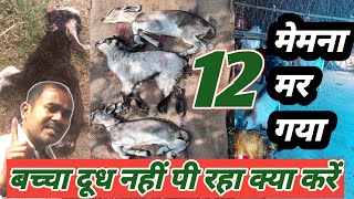 Marte Huwa Bakri Ka Baccha Bachana Sikhe|Vimal Umrao