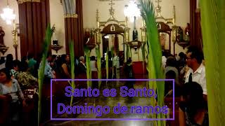 #Santo es Santo | #DomingoDeRamos