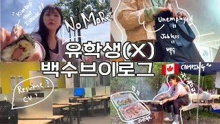 토론토 유학생(X) 취준생 브이로그🇨🇦 백수 1달차, 아직까지는 행복 | 취준시작, 캐나다에서 첫 여름캠핑, 발작커피, 치폴레, 팀홀튼, 시나본, 토론토본밀아울렛, 짐빔허니