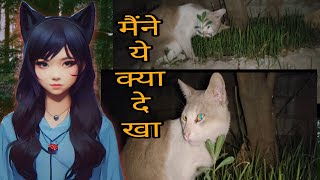 इतनी रात को जंगली बिल्ली यहाँ क्या खारही है ||What is the wild cat eating here so late at night|liba