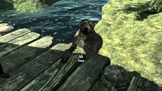 Stump The Dog Glitch (Skyrim Gameplay)