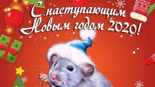 31 декабря 2019 год. С наступающим 2020 годом!!! Домашнее видео.