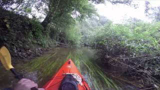 Tree Blockage nr Kempsford