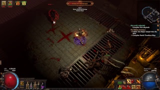 Path of Exile- I hope I can handle this xD