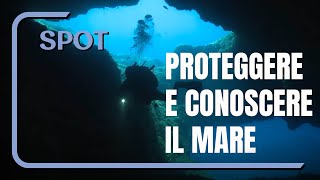 Progetto MER - Marine Ecosystem Restoration