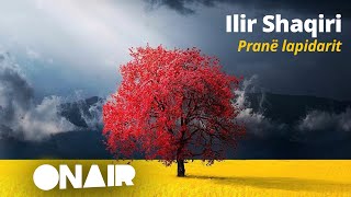 Ilir Shaqiri - Pranë lapidarit