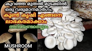 കൂൺ കൃഷിയിലൂടെ വരുമാനം കണ്ടെത്താം. | Mushroom farming | #Mushroom #കൂൺ