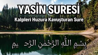 Yasin Suresi: Kalpleri Huzura Kavuşturan Ayetler | Kuran Dinle