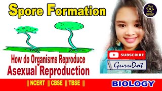 How do Organisms Reproduce - 7 | Types of Asexual Reproduction - Spore Formation.