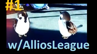 Splatoon - Online w/Allios League, Set #1 (June 17) - Part 1 I Am Team Bird