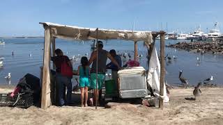 Fresh fish from the Sea of Cortez in La Paz. A thing soon to be from the past?