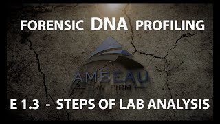 Forensic DNA Profiling - Episode 1.3 -  Steps in Lab Analysis