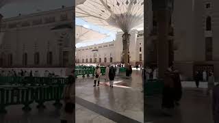 umbrella#masjid e nawbi#shorts