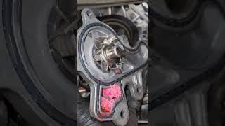 TOYOTA CHR WATER PUMP REPLACEMENT #shortvideo #shorts #short