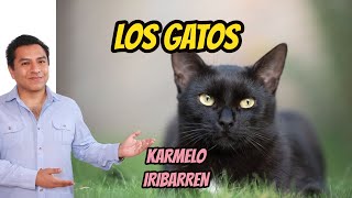 Los gatos - Karmelo Iribarren (España) - Poemas de animales - Educación Primaria