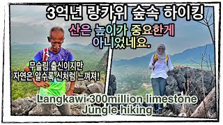 랑카위 3억 년 숲 속, 하이킹 투어. 정상보다, 과정이 더 신기하고 유익했던