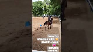 Iniciando no esporte equestre.