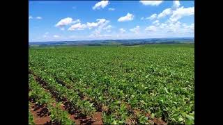 Fazenda à Venda em Piraju-SP