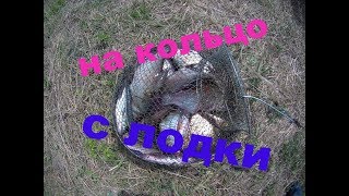 Ловля лещя в конце июля. Ловля лещя на кольцо с лодки. Рыбалка с лодки