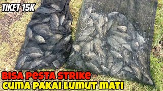 Punya lumut mati..!! enggak usah bingung kesini aja di jamin pesta strike ikan nila