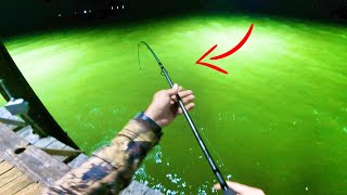 BAFFIN BAY FISHING 2023 (FEEDING FRENZY)