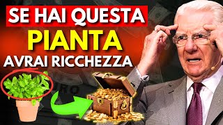 Non rimuovere mai questa pianta dalla tua casa - Attira denaro e prosperità | Bob Proctor