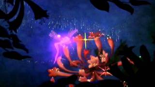 Fantasia || Dance of the sugar plum fairy