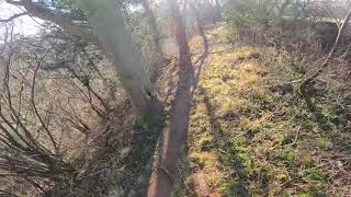 Wykeham Forest to Forge Valley KP Bike Club